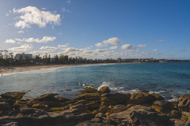 istock Manly Beach, Sydney, Australia. Pine trees, panoramic beach, with people surfing 1753069067