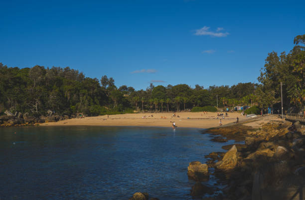 istock Shelly Beach beach Sydney Australia 1753074186