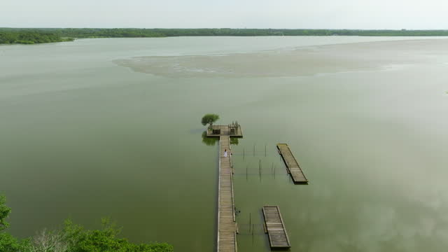 Aerial view. Young woman In white dress walking In the wooden pier on lake with one tree on pier. The concept of unity with nature. Aerial view