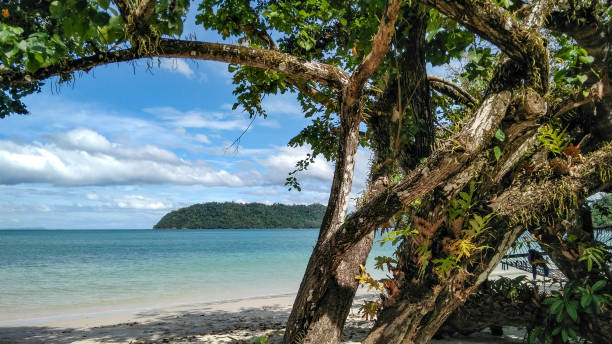 istock Wild beautiful beach behind the trees on a tropical island, Thailand. Copy space. 1753100598