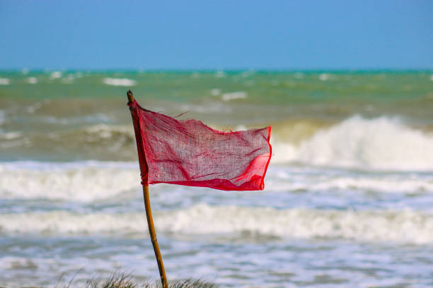 istock Red warning flag flapping in the wind on beach at stormy weather 1753100599
