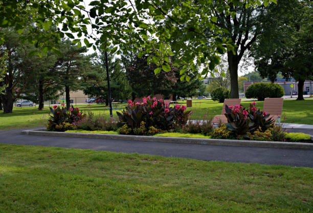 istock Landscaped Public Park 1753115171