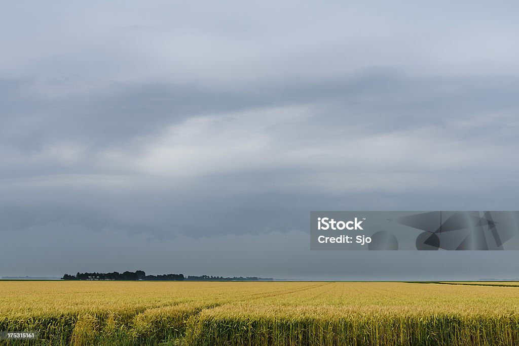 Tormenta de verano - Foto de stock de Campo - Tierra cultivada libre de derechos