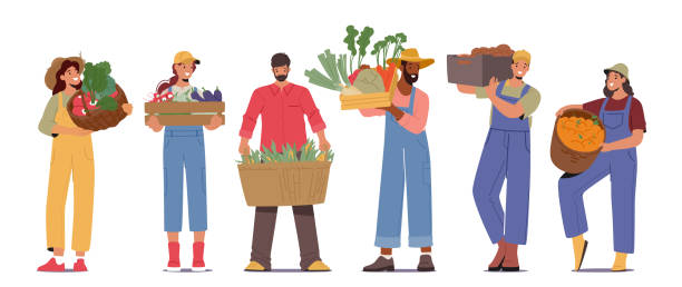 stockillustraties, clipart, cartoons en iconen met farmer characters proudly holding baskets and crates brimming with the bounty of their harvest, vector illustration - boer agrarisch beroep