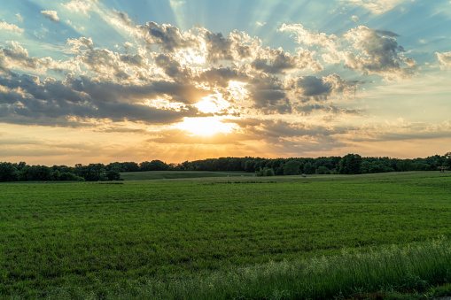 A rural Minnesota farm scene during summer sunset.