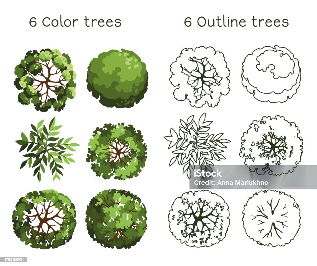 Tree Rectangular Layout Tree For Architectural Floor Plans Entourage Design Various Trees ...