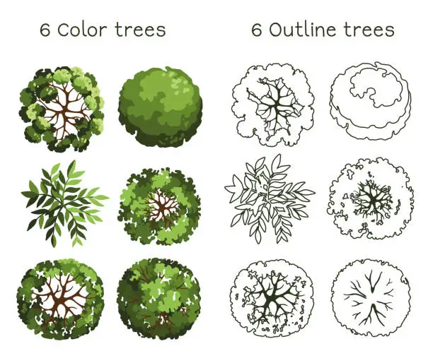 Vector illustration of Tree for architectural floor plans. Entourage design. Various trees, bushes, and shrubs, top view for the landscape design plan. Vector illustration.