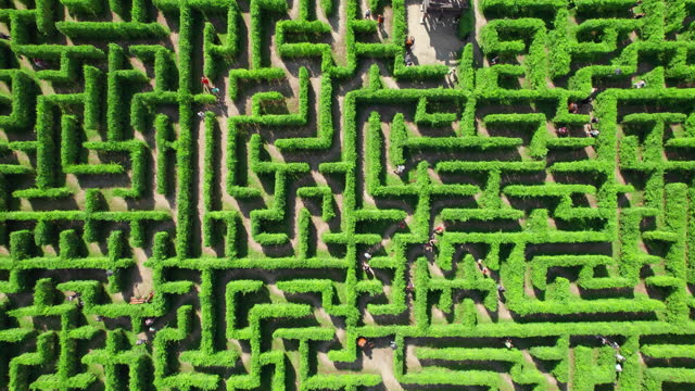 Aerial view of people trying to find exit in a labyrinth garden at sunny day