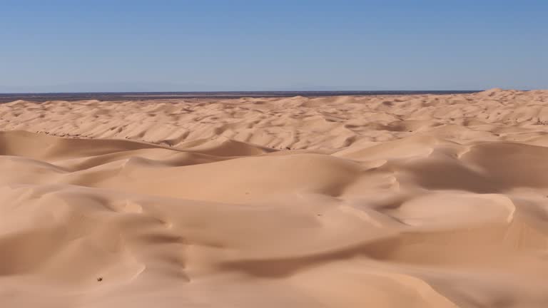 Arizona Desert, Yuma: Sand Dunes