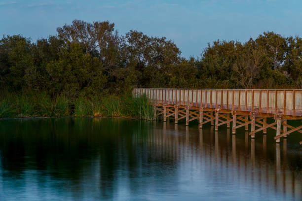 istock A wooden boardwalk meanders through the tranquil lake at sunset 1753245691