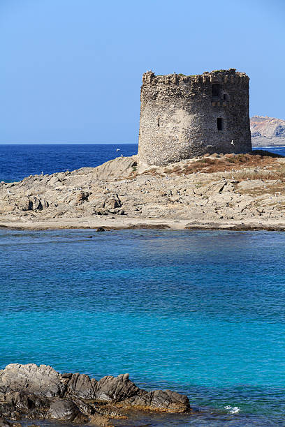 istock Sardinia, Italy: Stintino, La Pelosa Beach 175327010