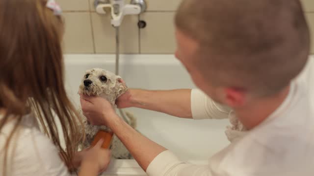 a father and his adorable daughter bathe their dog in the bathroom