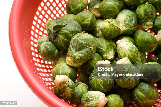 Rosenkohl In Der Kulinarischen Puderzuckersieb Stockfoto und mehr Bilder von Blatt - Pflanzenbestandteile - Blatt - Pflanzenbestandteile, Fotografie, Frische