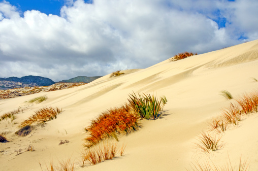 Windy afternoon on the sand dunes near the town of Fiambalá, Catamarca, Argentina.