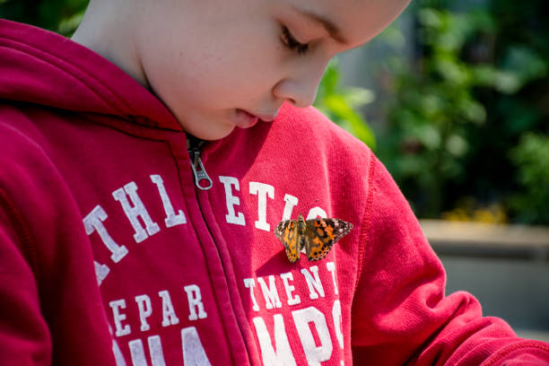 istock Child's Enchantment: A Painted Lady Butterfly Landing 1753328882