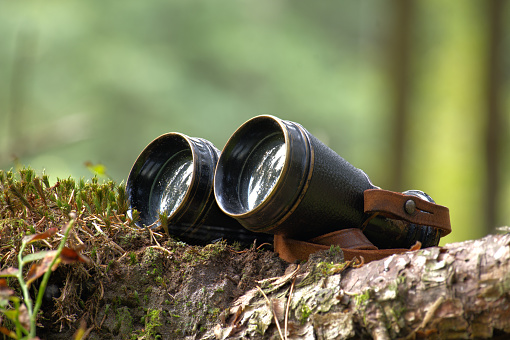 Binoculars resting on a tree stump depicted in a context of exploration or bird-watching, background presents a natural landscape, with grass evident