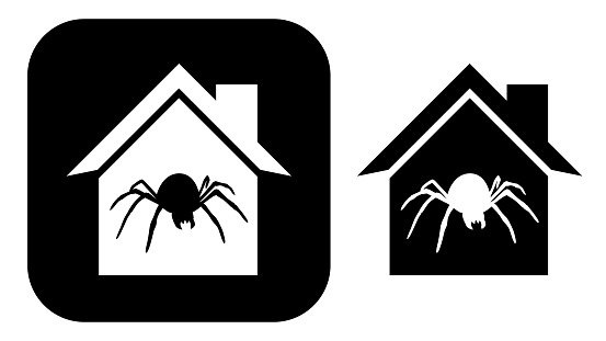 Vector illustration of two black and white spider house icons.