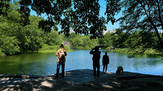 View of the Turtle Pond, a two-acre water body popular for relaxing and picnicking in Central Park on Manhattan Island, New York City. \nLocated at the base of Belvedere Castle it was named for the many turtles that reside there along with other numerous species.