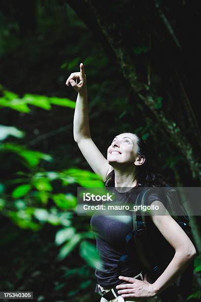 Hiker В Лес — стоковые фотографии и другие картинки 25-29 лет - 25-29 лет, 30-34 года, 30-39 лет