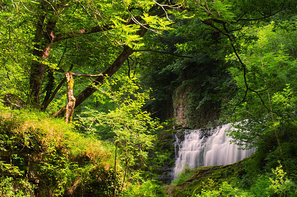 Brecon Beacons National Park stock photo