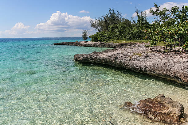 istock Bay of Pigs 175340959