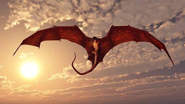 Red Dragon ataque em um céu ao pôr do sol - foto de acervo