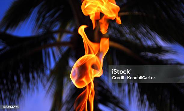굽기 팜형 나무 착각 랜턴에 대한 스톡 사진 및 기타 이미지 - 랜턴, 불, 빅 아일랜드-하와이 제도