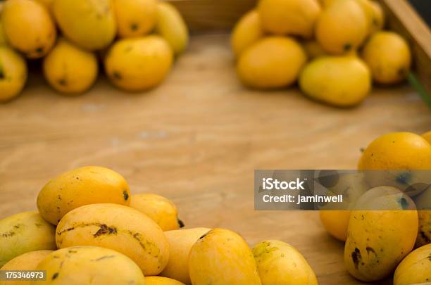 Delicious Ripe Mangoes Stock Photo - Download Image Now - Haiti, Mango Fruit, Antilles