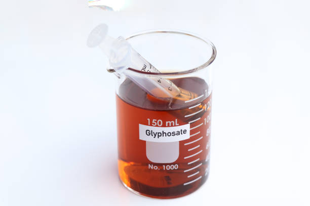 Glyphosate in glass, Herbicides are used to manage wasteland or control weeds in agriculture Glyphosate in glass, Herbicides are used to manage wasteland or control weeds in agriculture, laboratory experiment adac stock pictures, royalty-free photos & images
