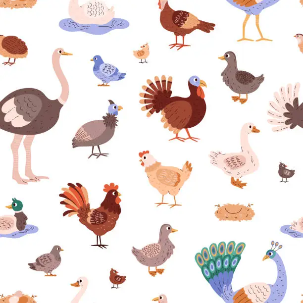 Vector illustration of Poultry birds vector cartoon seamless pattern, different farm birds hen goose, duck, peacock, pheasant ostrich turkey