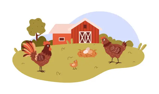 Vector illustration of Cute poultry farm with chicken family cartoon vector illustration, hen with chick and rooster, eggs in the nest on lawn