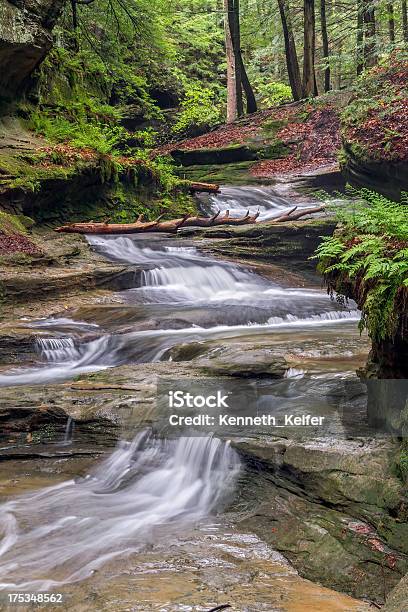 Foto de Floresta Cascade e mais fotos de stock de Ohio - Ohio, Cascata, EUA