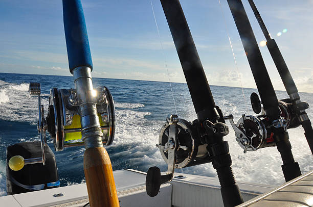 istock Fishing rods and reels 175349396
