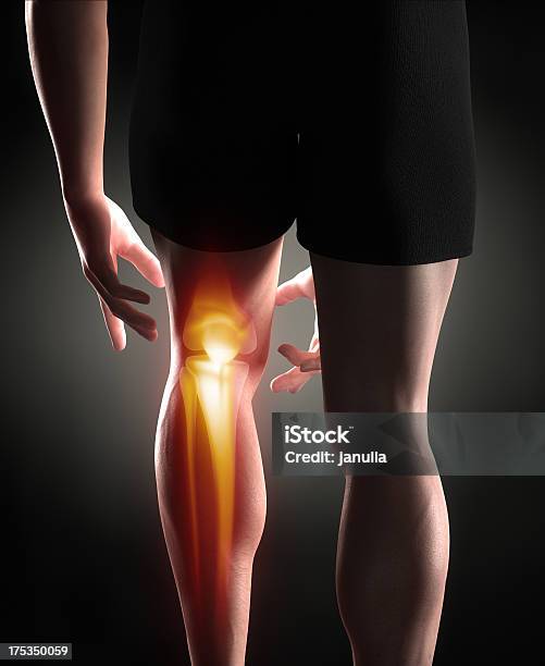 Antomy De La Rodilla Foto de stock y más banco de imágenes de Ligamento cruzado anterior - Ligamento cruzado anterior, Lesión física, Dolor