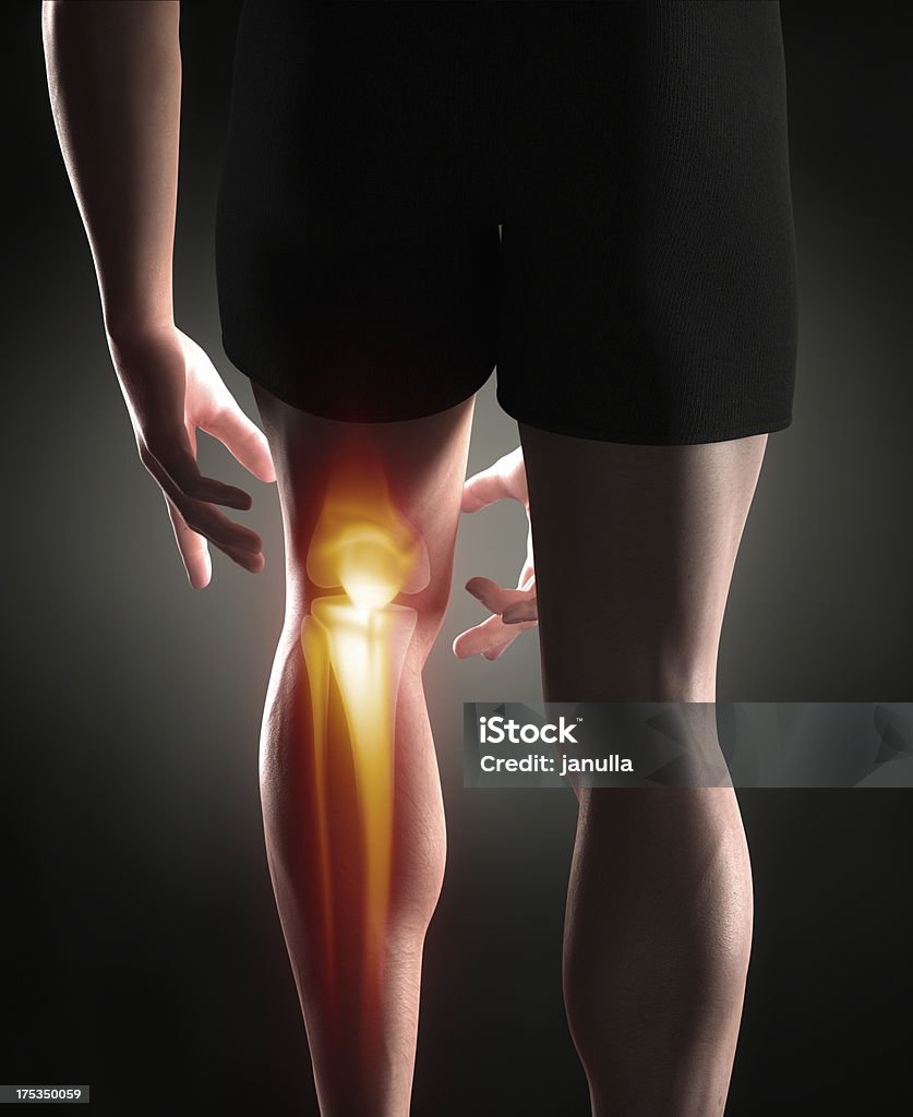 Knee antomy Man knee pain concept Anterior Cruciate Ligament Stock Photo