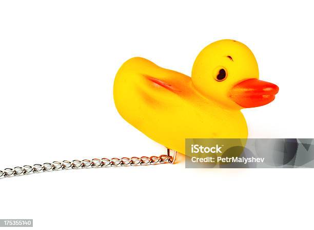 Pato De Juguete Para El Baño Foto de stock y más banco de imágenes de Accesorio personal - Accesorio personal, Acero, Acostado