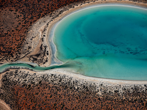 Aerial view of turquoise lagoon at Shark Bay Western Australia taken from a small plane