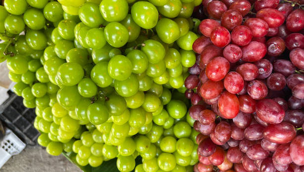 istock green grapes and red grapes 1753565673