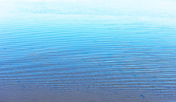 Seawater surface texture background of the shallow sea