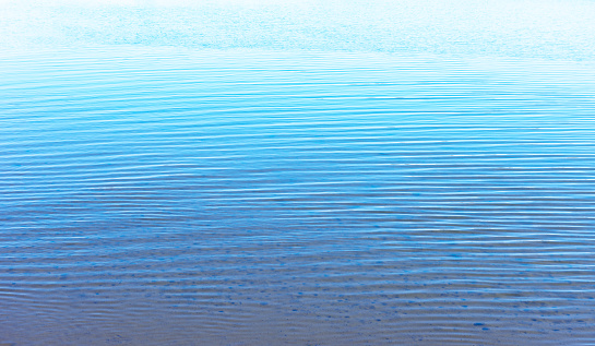 De-focused blurred transparent blue colored clear calm water surface texture with splashes and bubbles. Trendy abstract nature background. Water waves in sunlight with copy space.