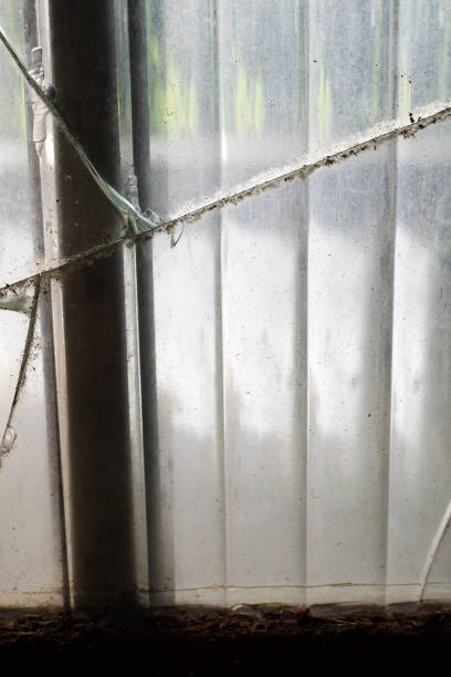 istock Broken dusty patterned glass with a hole, Destroyed building, Dirty mirror damage at home, Outdoor background 1753592105