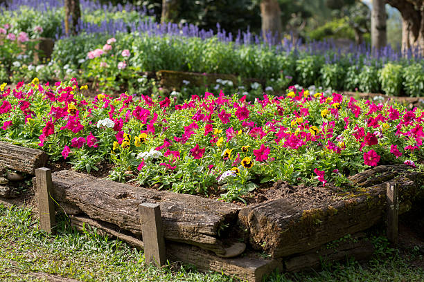 istock Original Flower Bed in a wooden log 175360598
