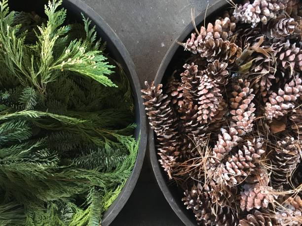 istock Two large bowls filled with pine branches and pine cones to be used for Christmas decorations 1753620573