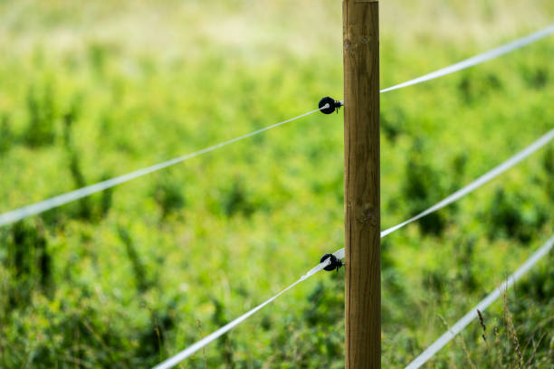 istock White electric fence by a green field.. 1753626754