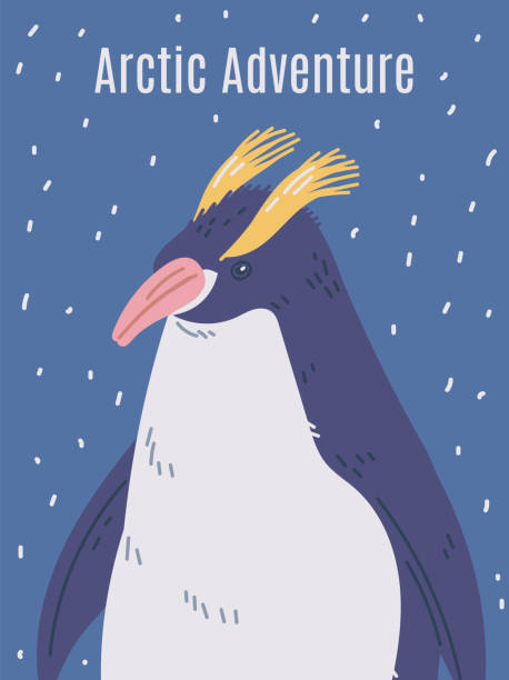 pinguin mit wappen, felsenhüpfer, königspinguin, flugunfähige seevögel der antarktis, arktisches abenteuer-vektor-poster - antarctica penguin ice emperor stock-grafiken, -clipart, -cartoons und -symbole