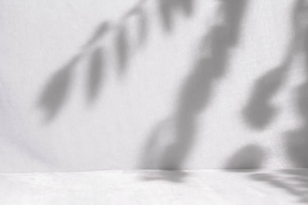 istock Blur shadow of leaves on white fabric. 1753682347