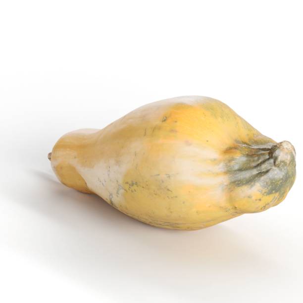 3D rendering of squash with vivid yellow and green hues on a white backdrop