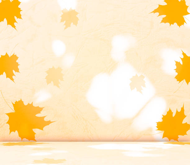 istock Autumn Background Abstract Light Shadow Maple Leaf Beige Wallpaper Pastel Table Product Wall Display Fall Forest Empty Countertop Tabletop Abstract Floral Flower Leaves, Minimal Kitchen Elegant Scene. 1753700003