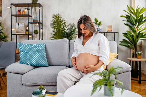 Beautiful young pregnant woman sitting on the sofa in the living room.