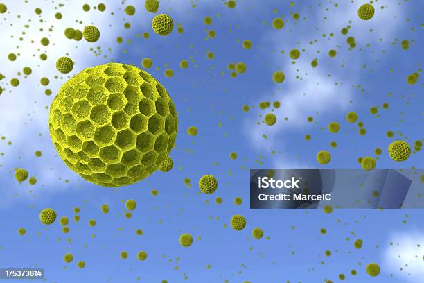 Pollen Getreide Gegen Den Blauen Himmel Stockfoto und mehr Bilder von Allergie - Allergie, Bestäubung, Biologie